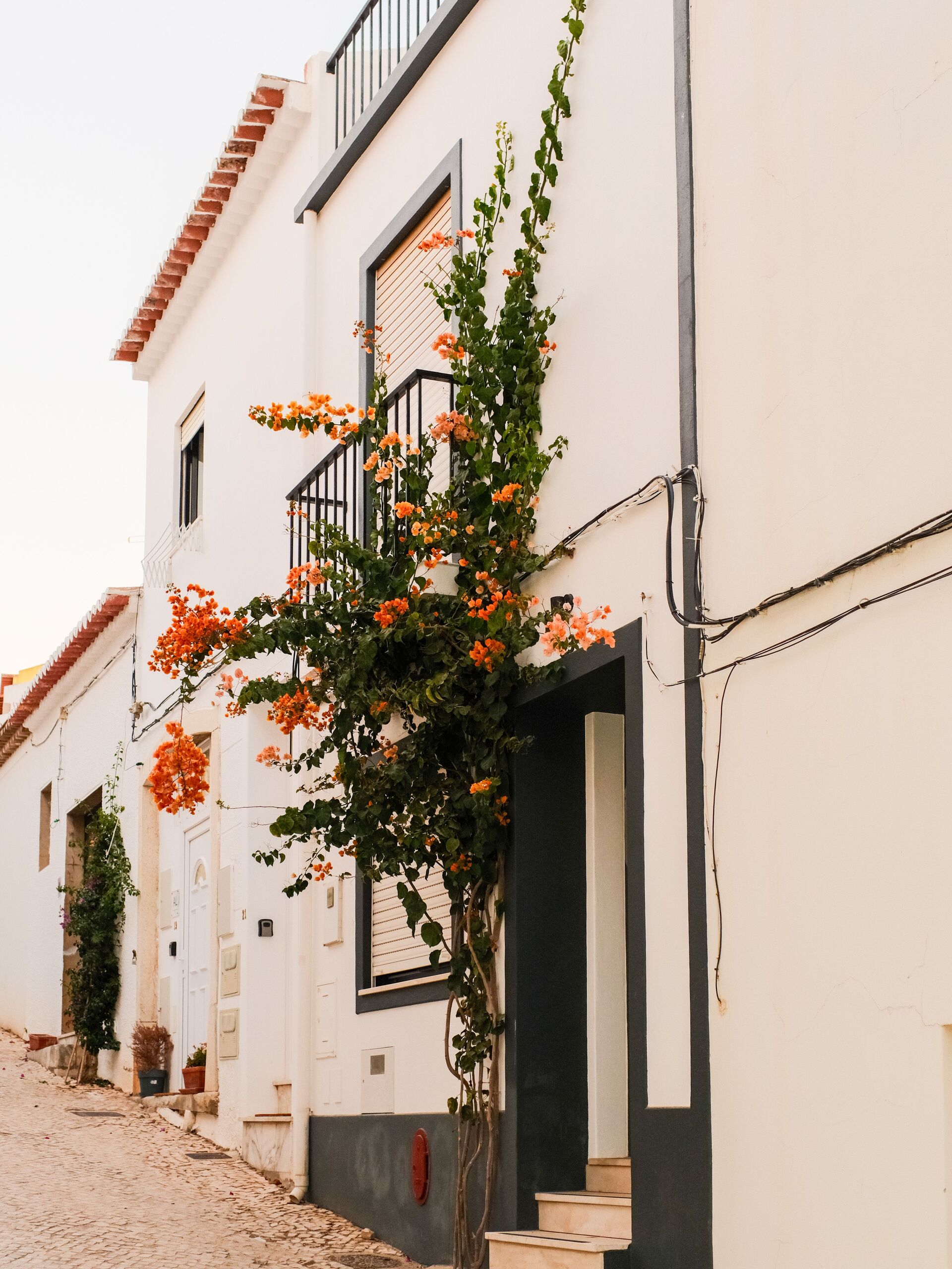 A whitewashed Lagos street with orange bougainvillea climbing a townhouse